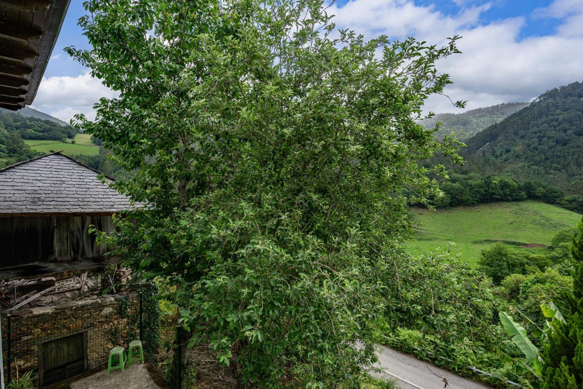 Villa Maseda 1 Villayón Exterior foto